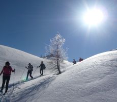 Zimski tabor na Komni - PS PT Nova Gorica